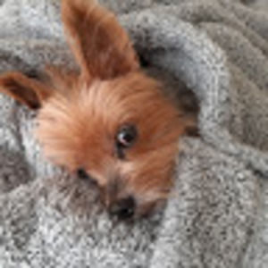 Meet your Posher, Younghee